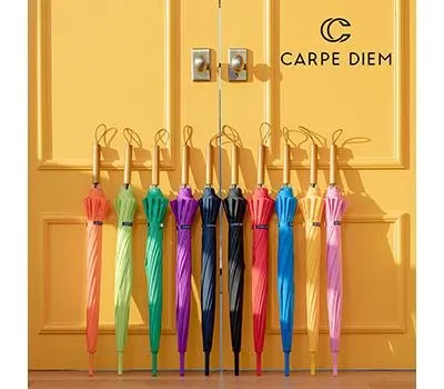 광진구판촉물 어떤 업체를 선택해야 할까? 3 카르페디엠 스마트 55X12K 우드 장우산